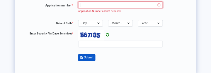 NTA CUET UG Admit Card 2024 Link, Delhi Candidates Advised to Download the Updated Admit Card 2 image 13