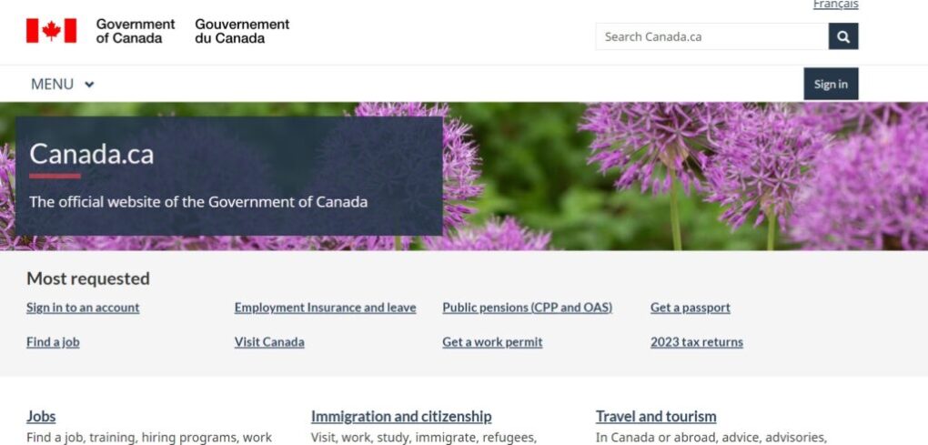 $2350 Relief for Seniors in November 2024: Check Eligibility, Payment Date & Claim Process 2 $2350 Relief for Seniors 2024